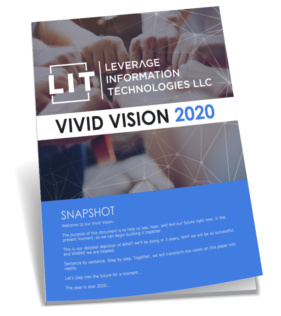 Vivid Vision Leverage Information Technologies