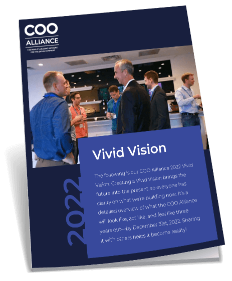 Vivid Vision Book