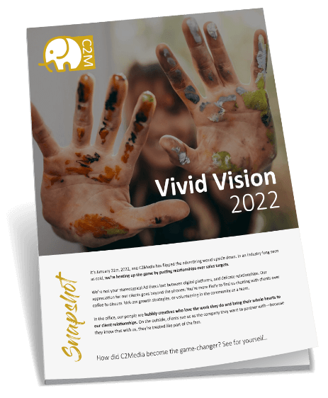 Vivid Vision Book