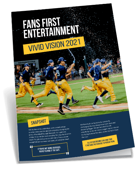 Vivid Vision Book