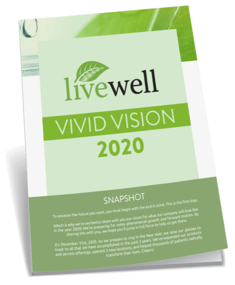 Vivid Vision Book