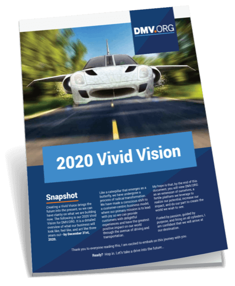 Vivid Vision Book