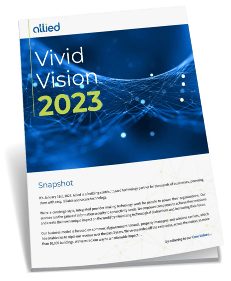 Vivid Vision Book