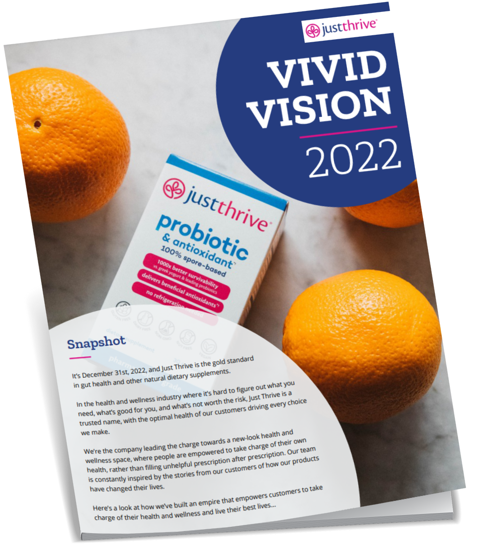 How To Write A Vivid Vision | With Examples Vision Driven Global